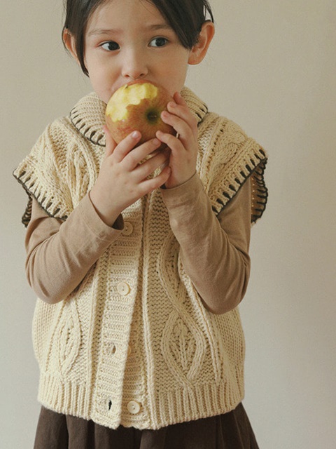Fisher Knit Vest