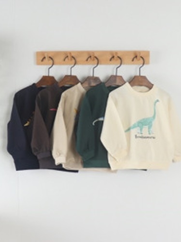 Dino Series Sweatshirts