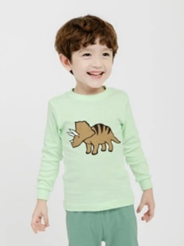 Big Dino Pajamas
