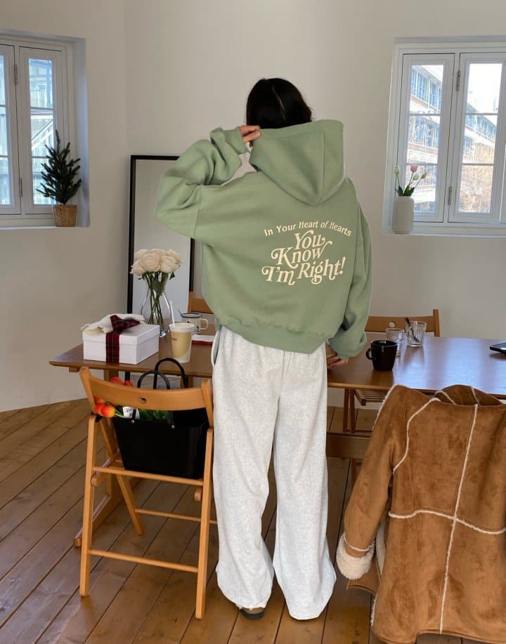 Diana - Korean Women Fashion - #pursuepretty - Right Hoodie