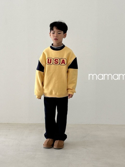 USA Sweatshirt