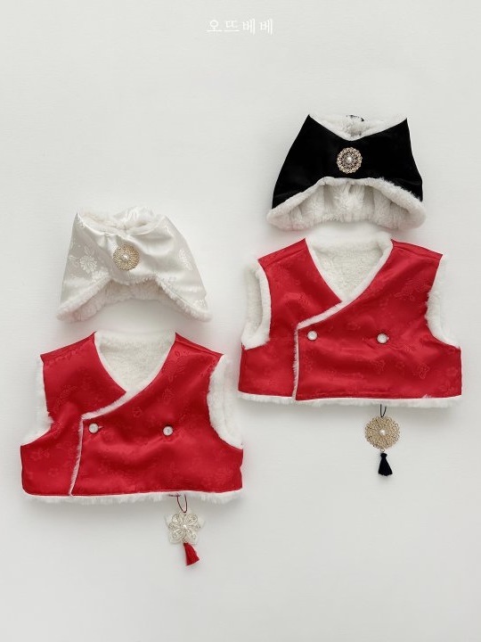 Warm Hanbok Vest Warm Hanbok Vest