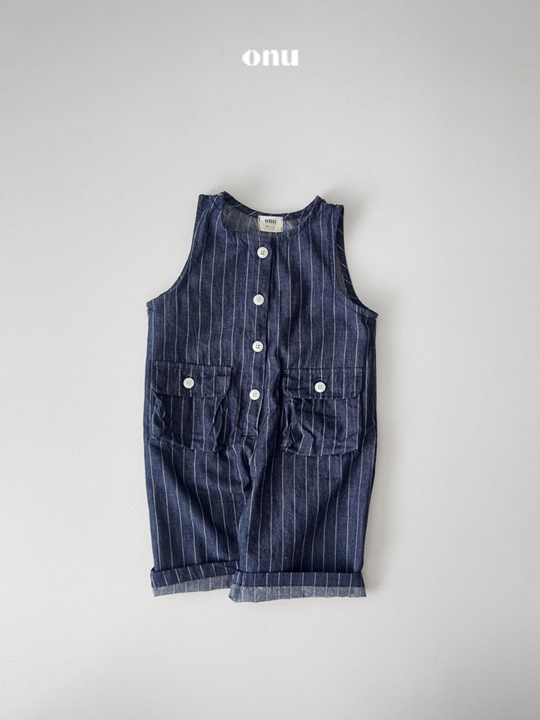 Wide Stripe Denim Overalls