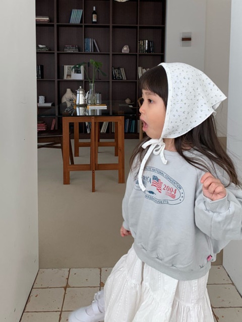 American Sweatshirts American Sweatshirts