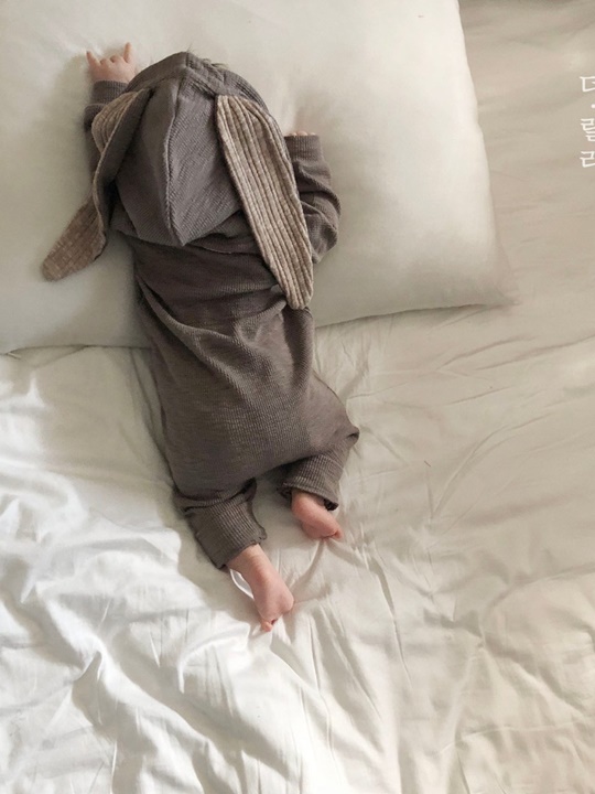 Rabbit Suit