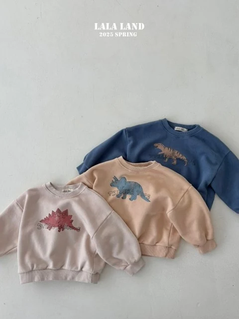 New Dino Sweatshirts
