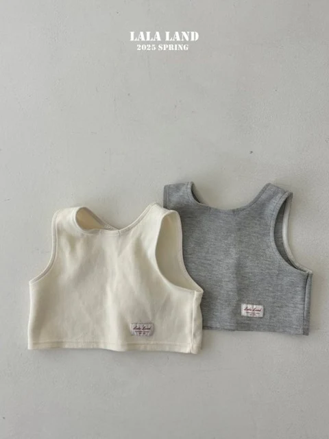 Reversible Vest