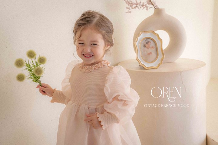 Oren - Korean Children Fashion - #kidsshorts - Beluka Organza Dress - 4