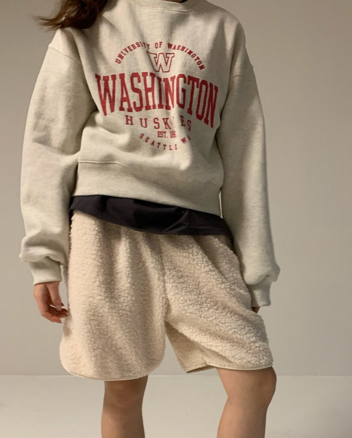 Via - Korean Women Fashion - #vintagekidsstyle - Washington Sweatshirts - 2