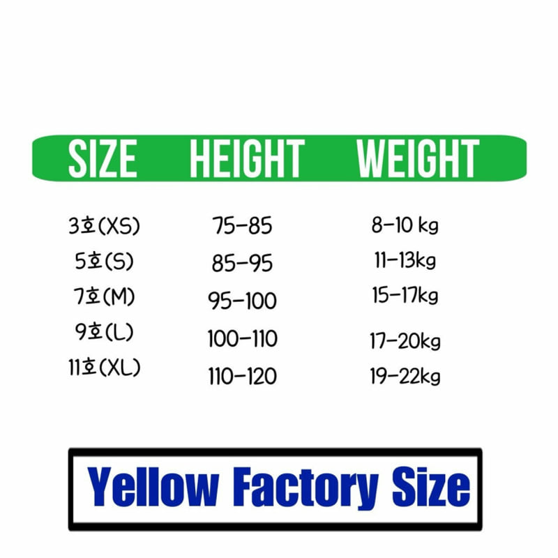 Yellow Factory - Korean Children Fashion - #childofig - Ivy Set - 12