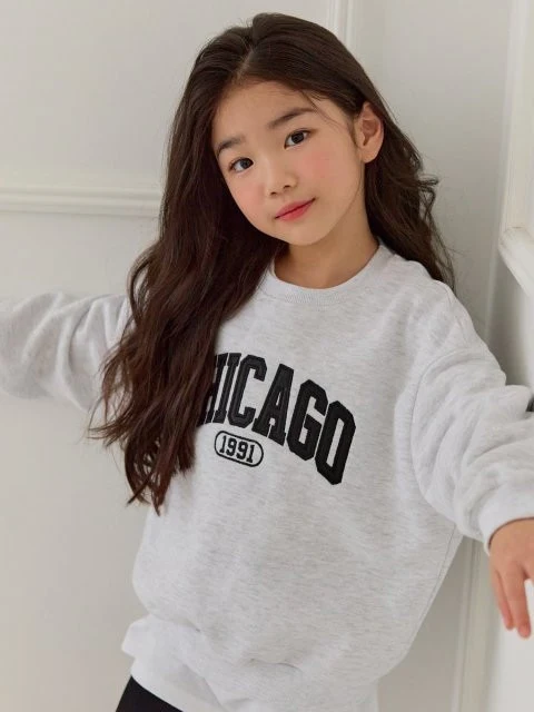 Chicago Embroidery Sweatshirts