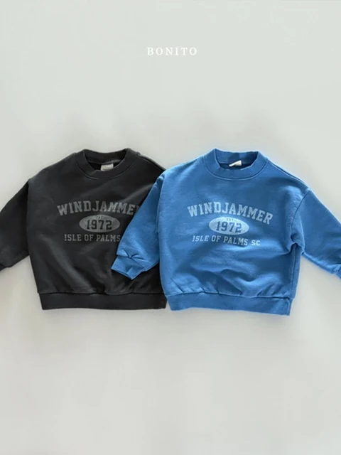 Wind Sweatshirts