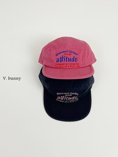 Attitude Cap