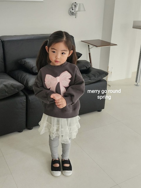 Ribbon Embroidery Sweatshirts