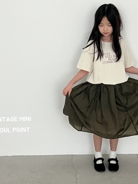 Chiffon Skirt