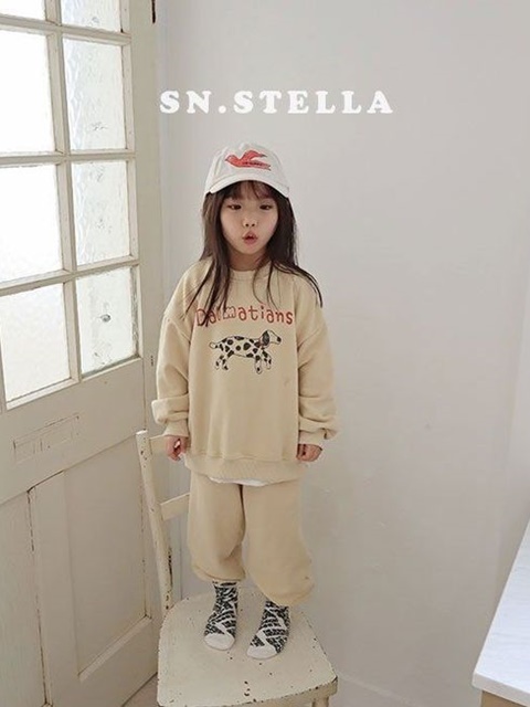 Dalmatian Sweatshirts