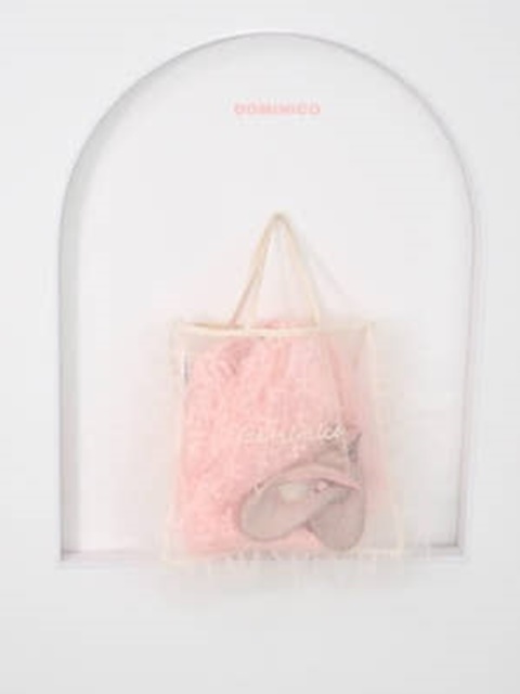 Embroidered Mesh Ballet Bag Embroidered Mesh Ballet Bag