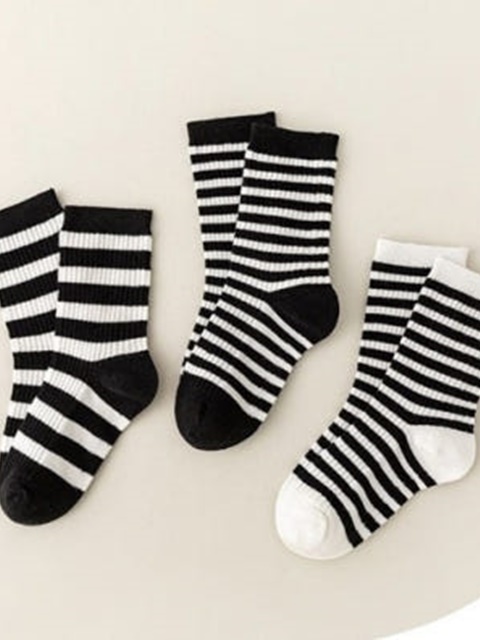 Papillon Socks Set