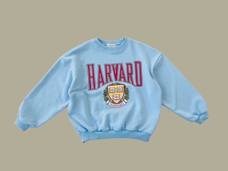 Dore Dore - Korean Children Fashion - #kidsshorts - Harvard Sweatshirts - 3