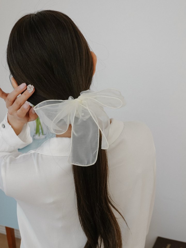 Eeiitt - Korean Women Fashion - #womensfashion - Salon Big Ribbon Hair Chuchu - 11