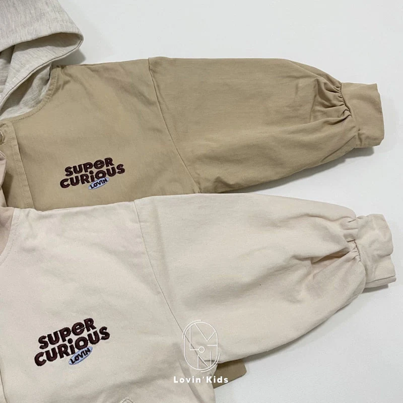 Lovin - Korean Baby Fashion - #babyboutiqueclothing - Chino Hooded Jumper - 4