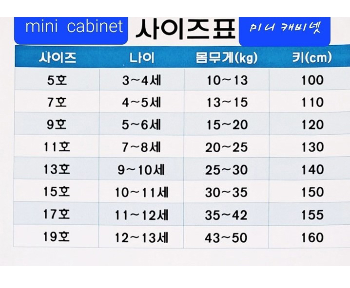 Mini Cabinet - Korean Children Fashion - #designkidswear - Stanford Sweatshirts - 2