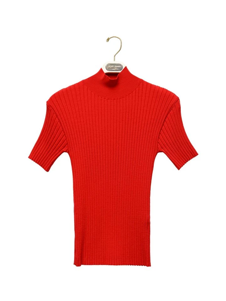 Paper Moon - Korean Women Fashion - #momslook - Classic Rib Half Turtleneck Knit Top - 5