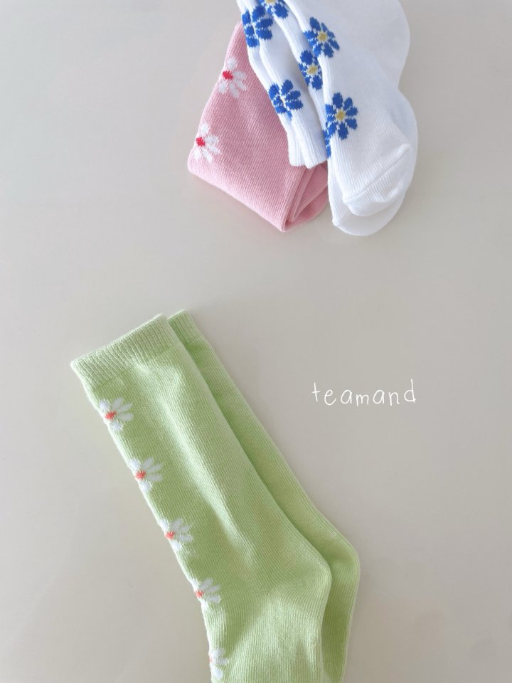 Teamand - Korean Children Fashion - #childofig - Alice Knee Socks Set