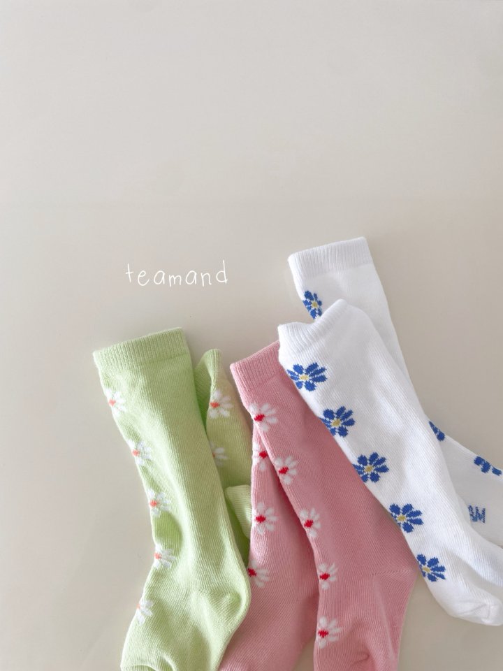 Teamand - Korean Children Fashion - #childofig - Alice Knee Socks Set - 2