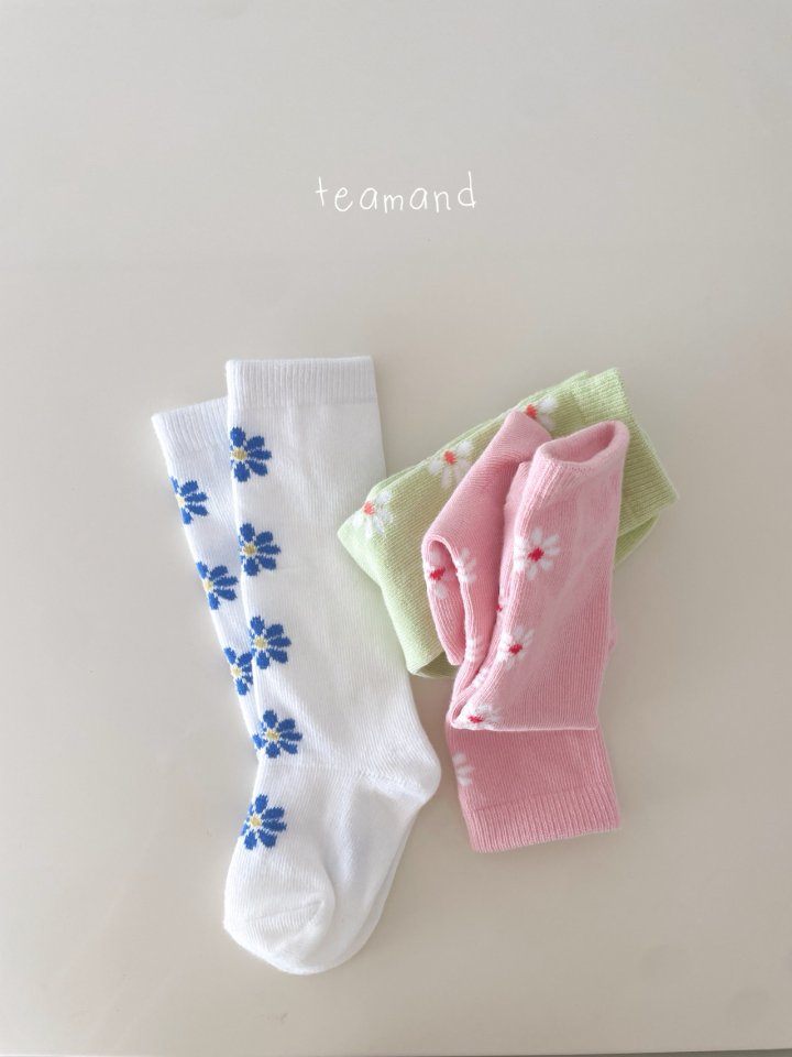 Teamand - Korean Children Fashion - #fashionkids - Alice Knee Socks Set - 6