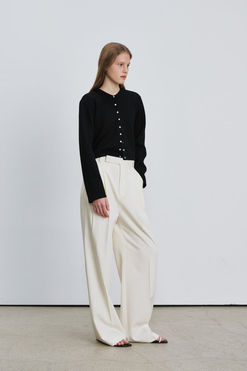 Understanding - Korean Women Fashion - #womensfashion - Seasoning Joseph Pants - 3