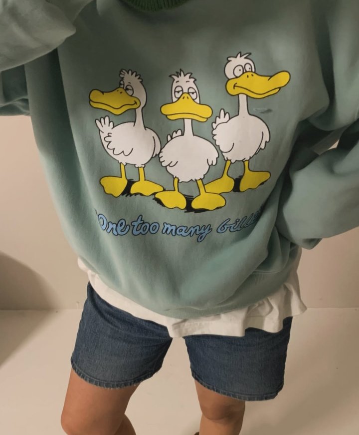 Via - Korean Women Fashion - #momslook - Duck Sweatshirts