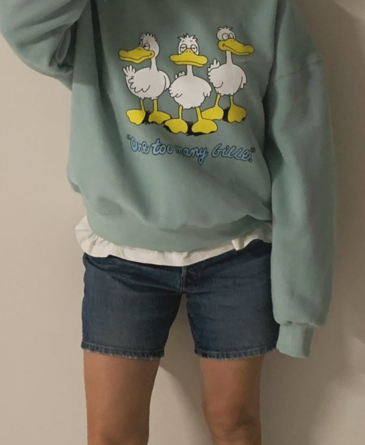 Via - Korean Women Fashion - #restrostyle - Duck Sweatshirts - 7