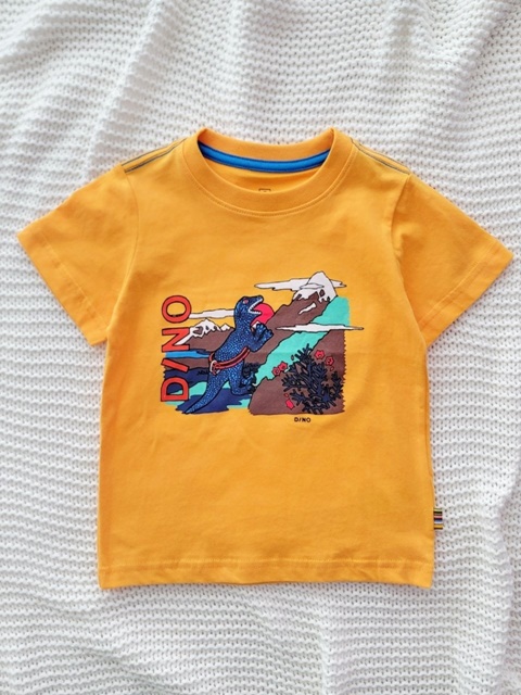 Paul Mountaineering Dino Tee
