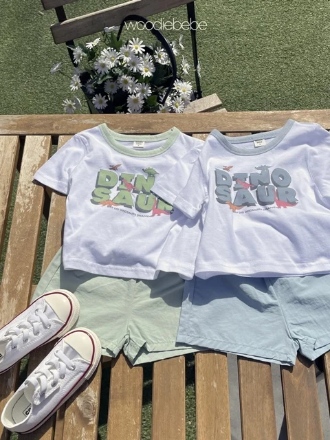 Dino Set