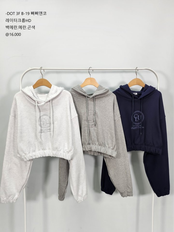 Bbibbi - Korean Women Fashion - #womensfashion - Later Crop Hoodie - 8