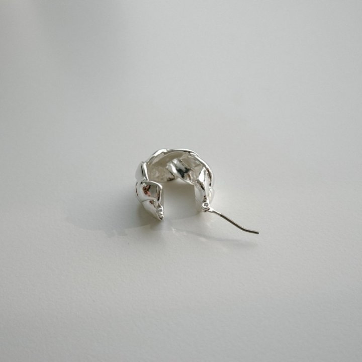 Eeiitt - Korean Women Fashion - #pursuepretty - Tigrona Ring Earrings - 6