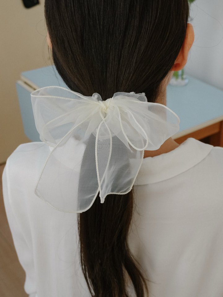 Eeiitt - Korean Women Fashion - #womensfashion - Salon Big Ribbon Hair Scrunchie - 2