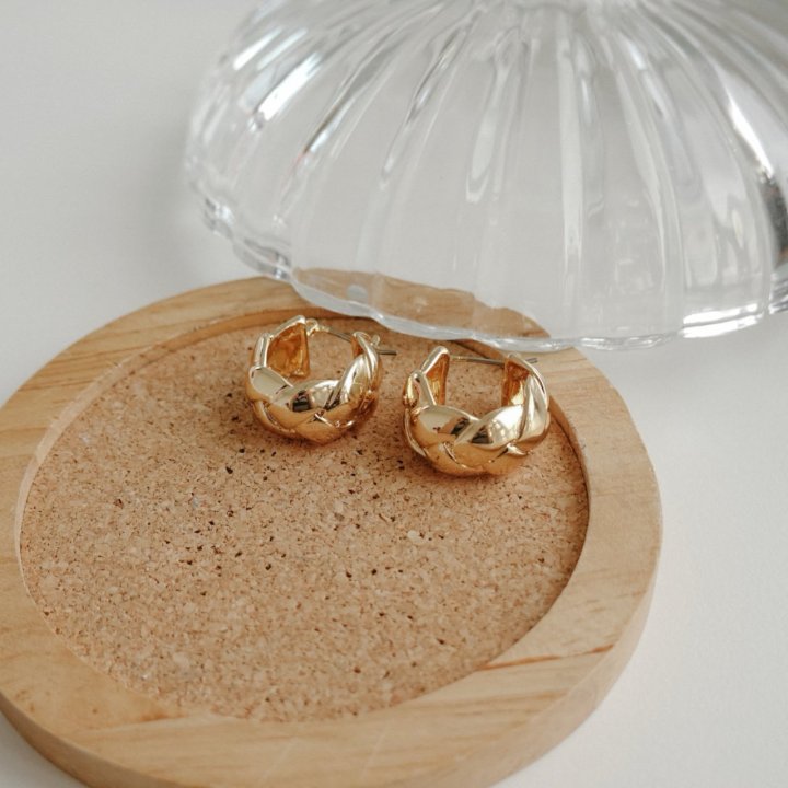 Eeiitt - Korean Women Fashion - #womensfashion - Tigrona Ring Earrings - 3