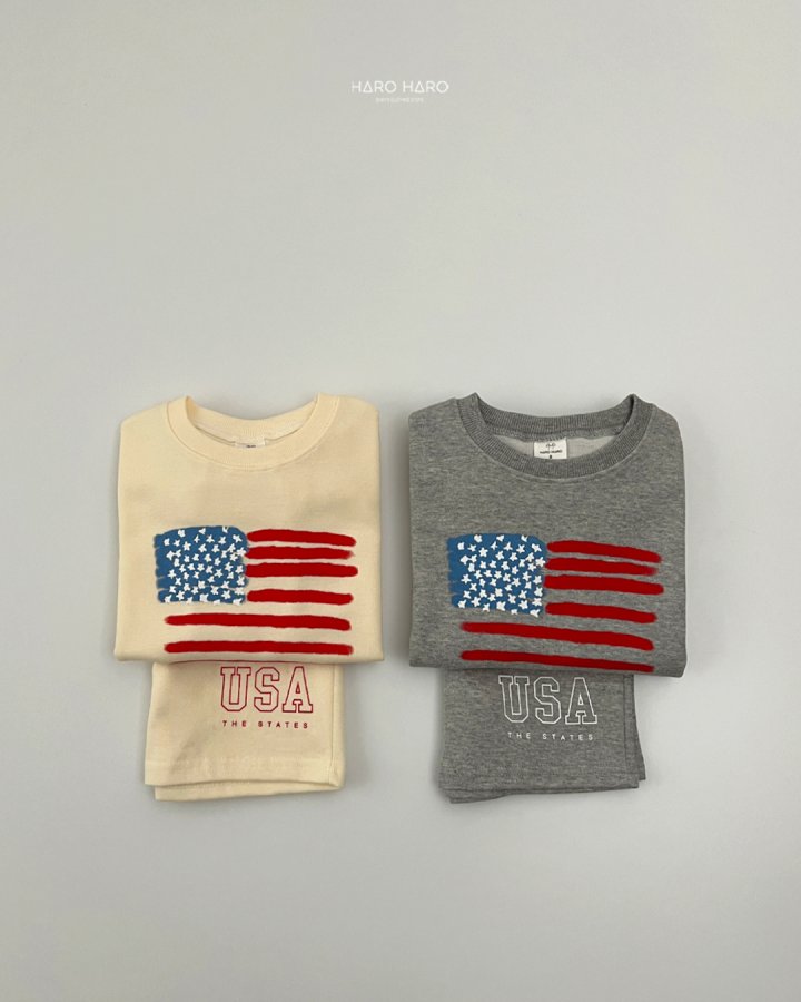 Haro Haro - Korean Children Fashion - #fashionkids - USA Top Bottom Set - 8