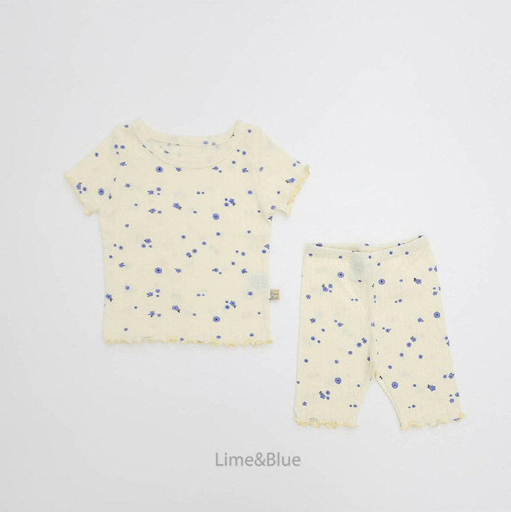 Lime & Blue - Korean Baby Fashion - #onlinebabyboutique - Momo Blooming Top Bottom Set - 9