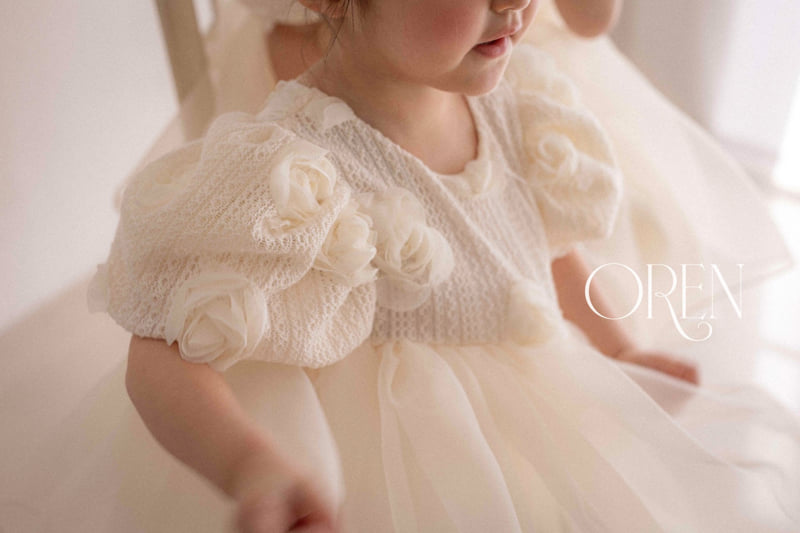 Oren - Korean Baby Fashion - #onlinebabyshop - Roseberry Organza Suit - 7