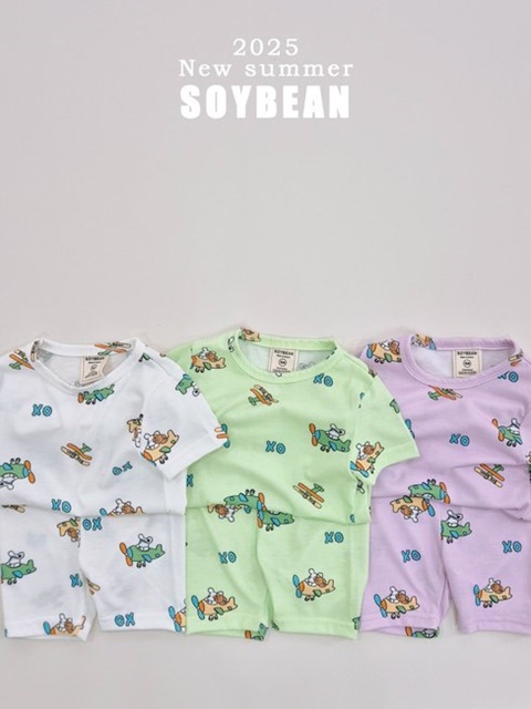 Poodle Airplane Easywear