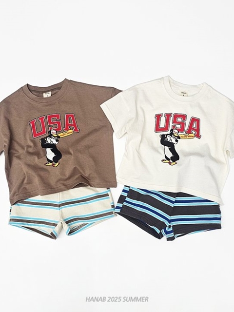 Usa Bear Set Usa Bear Set