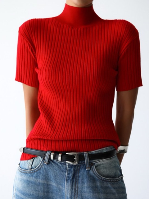 Classic Ribbed Half Turtleneck Knit Top