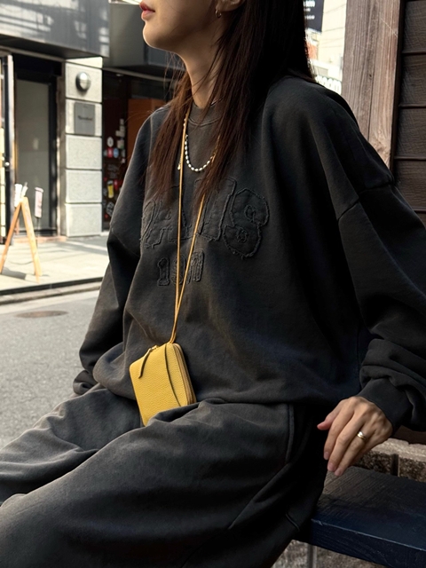 Pigment Embroidery Sweatshirts
