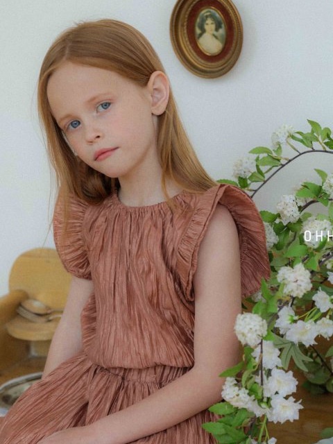 Shine Pleats Blouse Shine Pleats Blouse