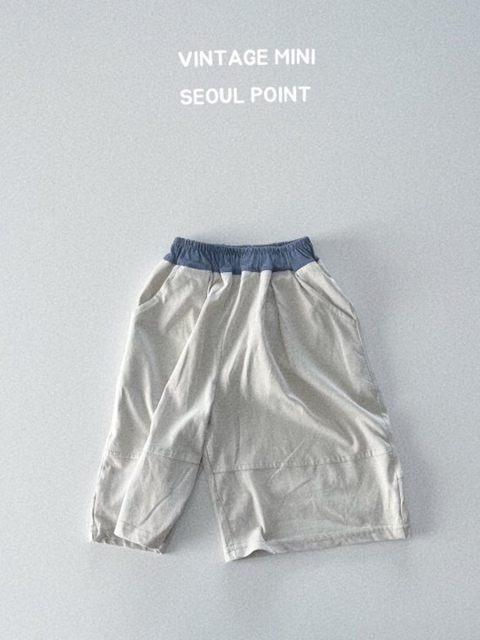 Waist Color Shorts