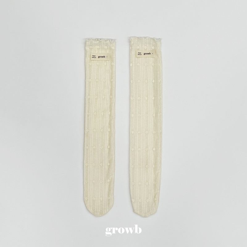 Grow B - Korean Children Fashion - #minifashionista - Rich Socks