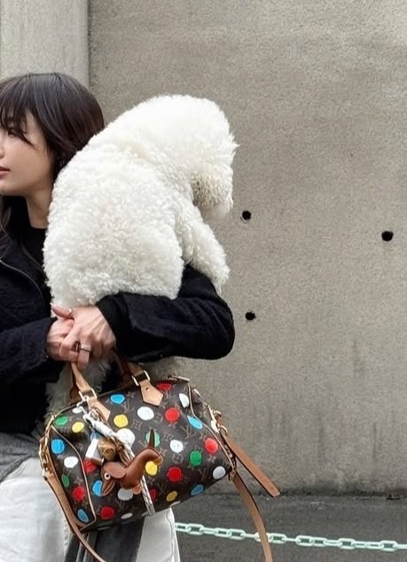 Newerly - Korean Women Fashion - #womensfashion - Brown Dog Bag Accessory - 3